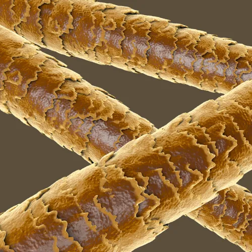 IlSaloneDiMilano Състав Keratin